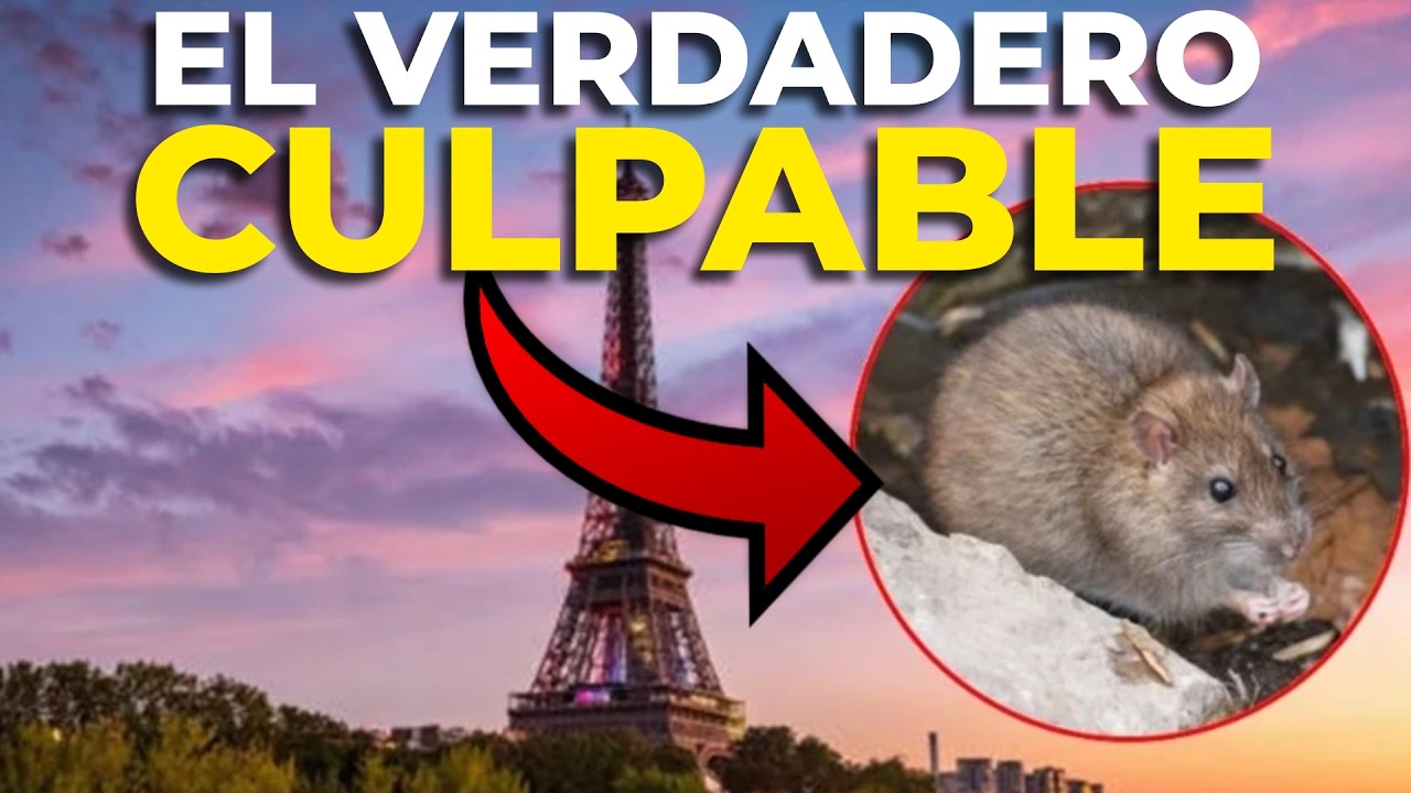 Porque la comida francesa ha pasado de moda