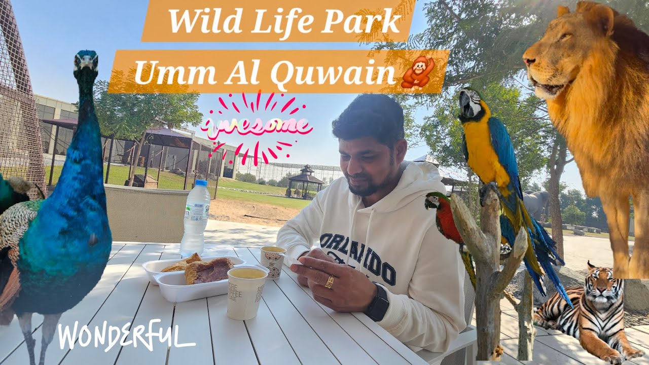 Umm Al Quwain Zoo വിലെ മനോഹരമായ കാഴ്ചകൾ🤩#ummalquwainzoo #zoo #animals #uae #dubai #wildanimals #fun
