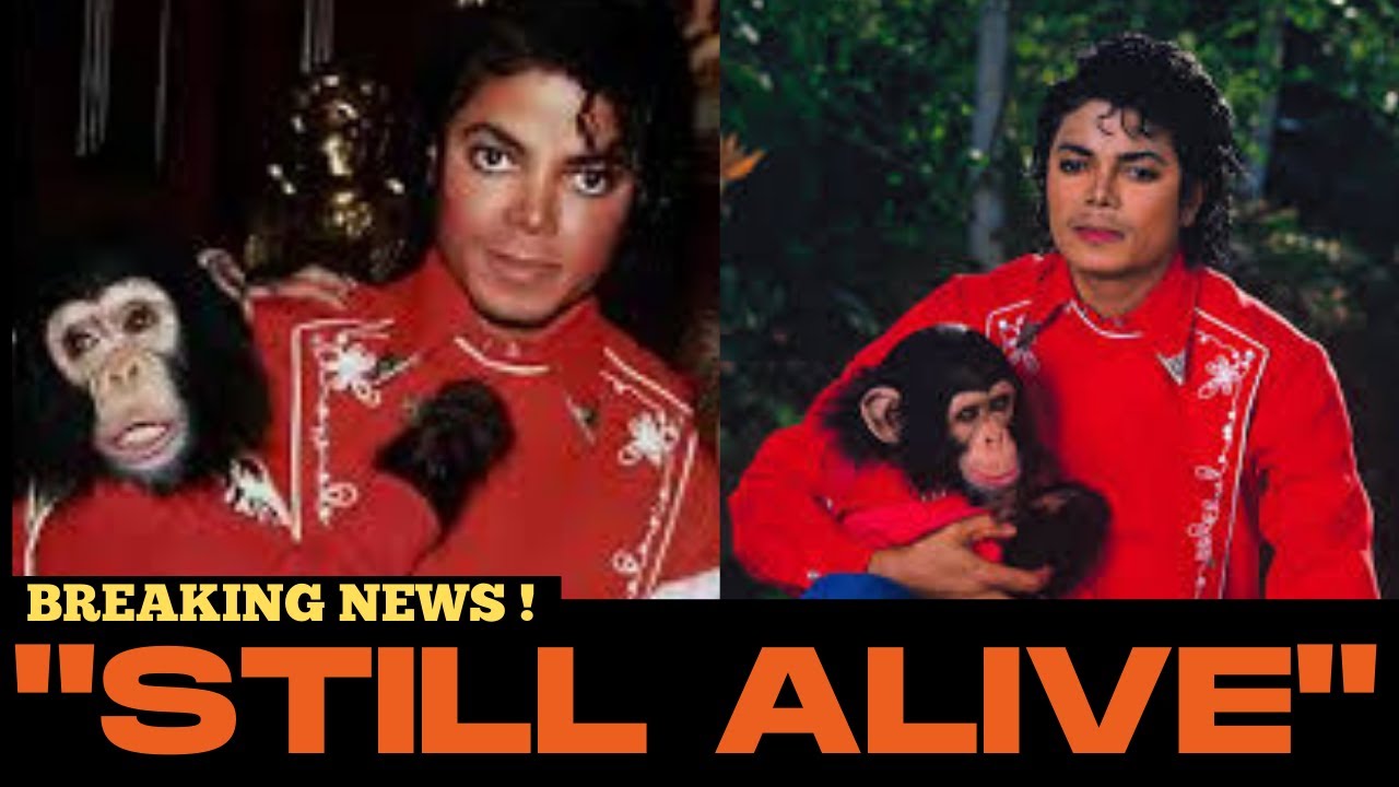 Michael Jackson's Chimp Bubbles Is Still Alive -His Caretaker Just Revealed What He Does Every Day!