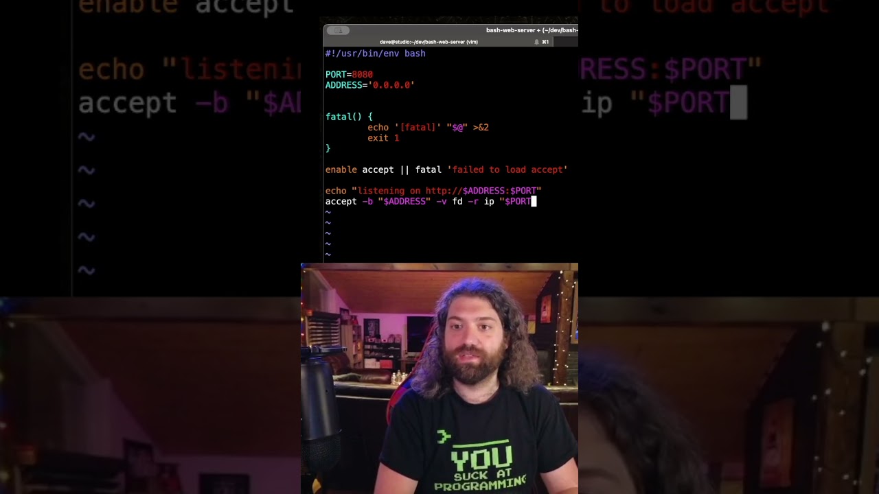 loading a plugin in bash and listening on a socket! the start of an HTTP server.
