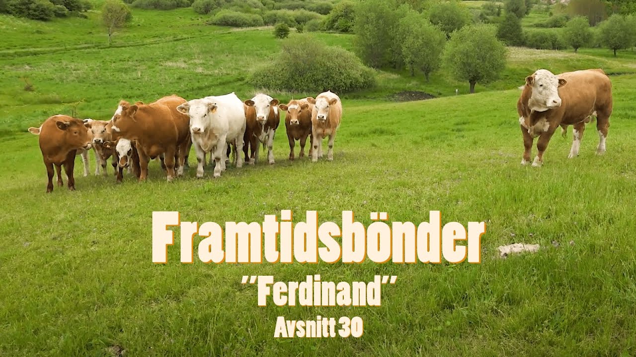 Framtidsbönder Avsnitt 30 - Vismarlövsgården i Skåne