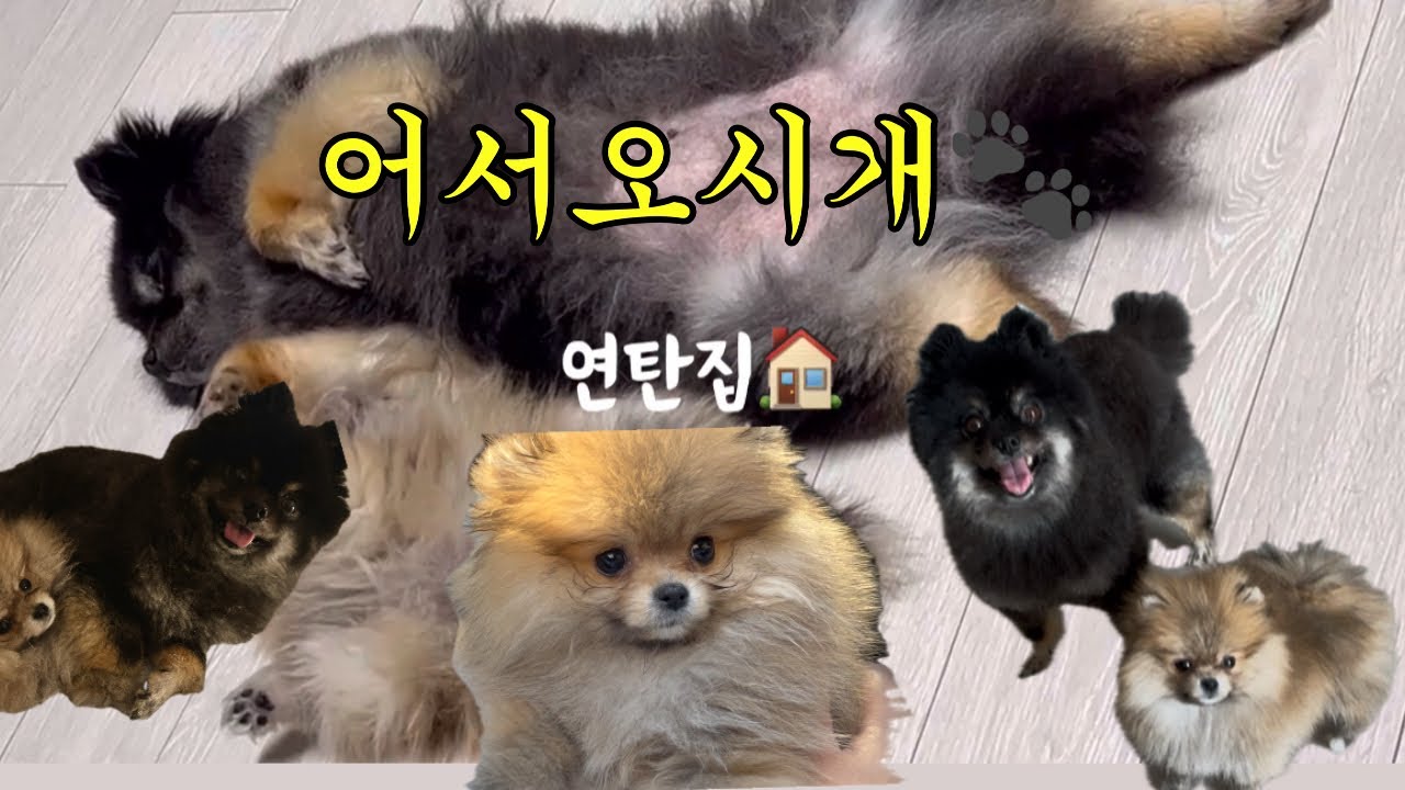 연탄집 어서오시개 🐾