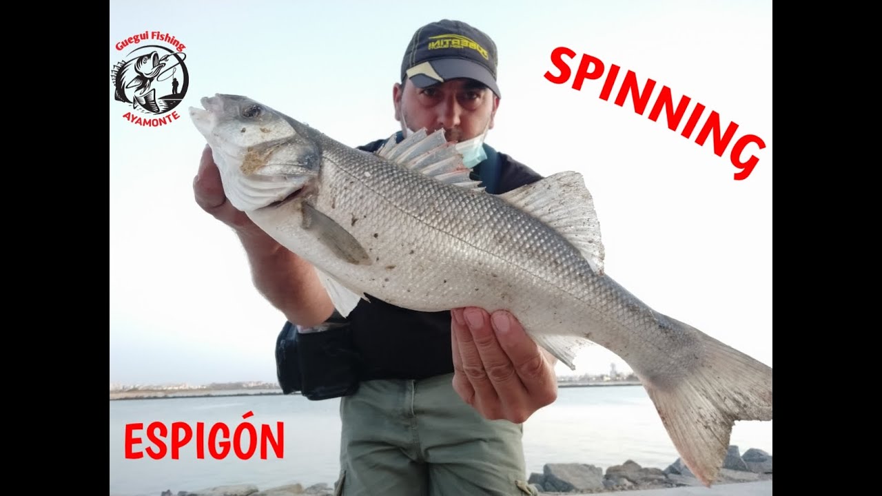 #2020#🎣❤🐟🔝#SPINNING# desde #Espigón Ayamonte, Punta del Moral, #HUELVA