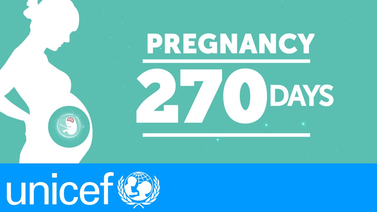 The First 1,000 Days of Life