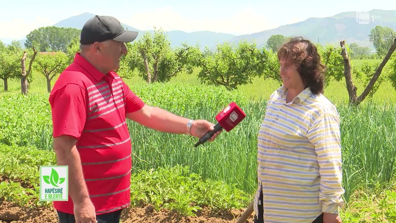 Ndikimi i reshjeve në kulturat bujqësore. Bulgarec, Korçë/
