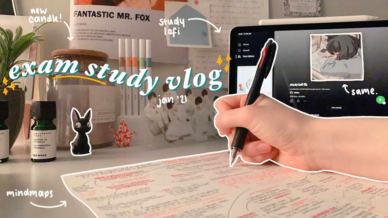 exam week study vlog 🎞: surviving off of pasta, mindmaps, sticker haul