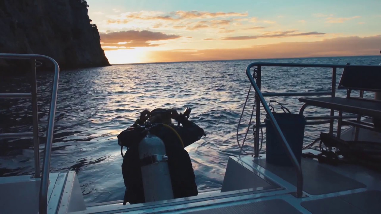 Nikon KeyMission Story: Saving an underwater jewel with Sophie