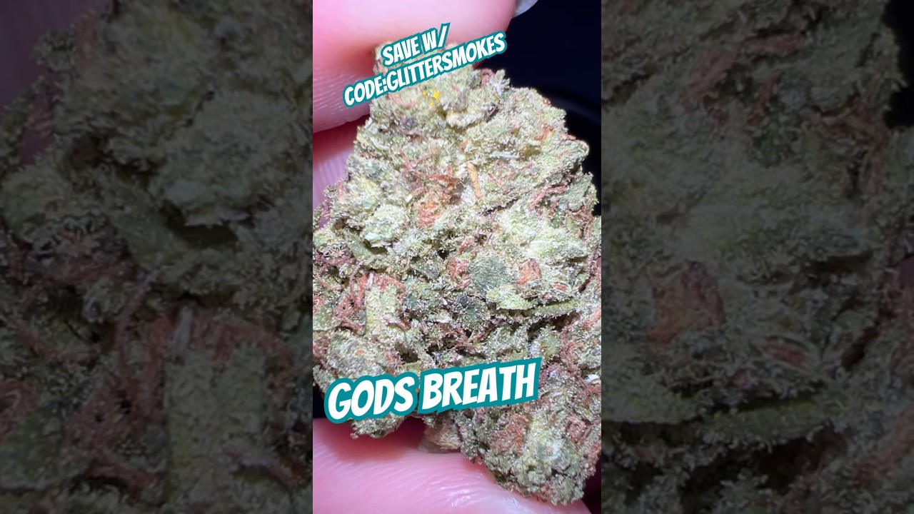 Gods Breath from Canna Cured #subscribe #420community #freetheplant #hemphealing #420
