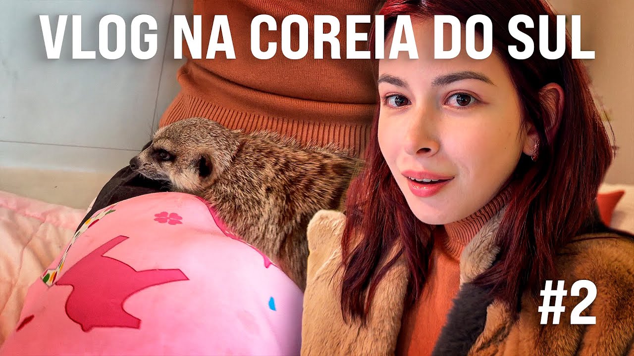 UM SURICATO SE APAIXONOU POR MIM
