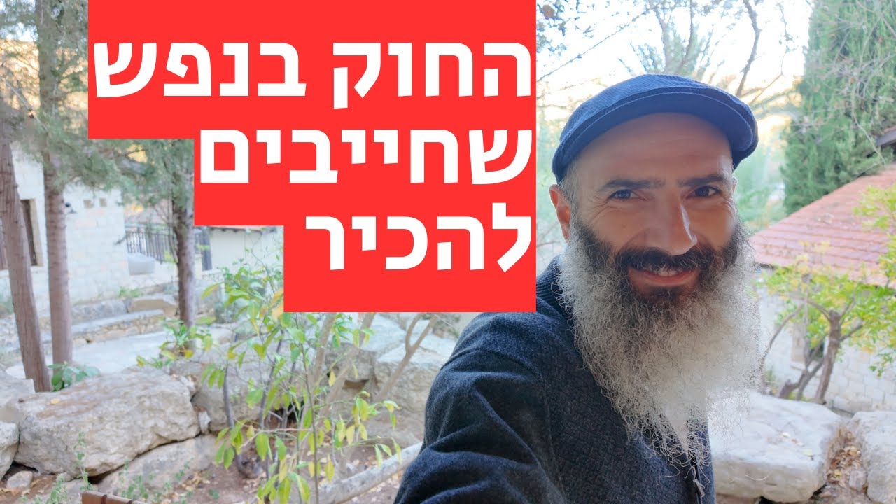אני מקבל בדיוק מה שאני נותן - איך זה עובד?