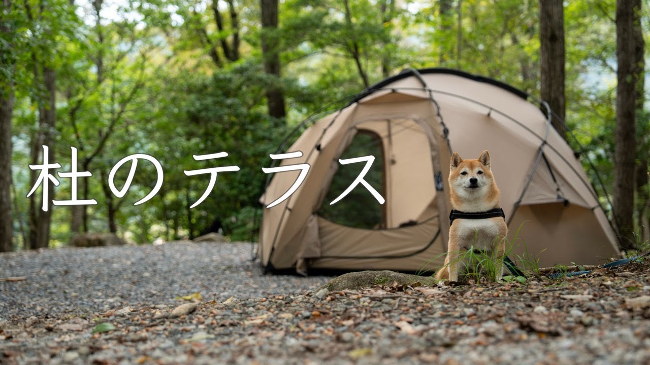 【犬連れキャンプ】雨予報の週末は人気のキャンプ場へ｜杜のテラス（大阪）