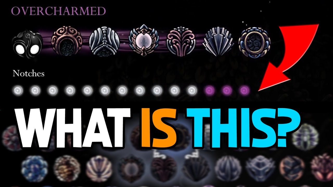 Hollow Knight - What is Over Charmed