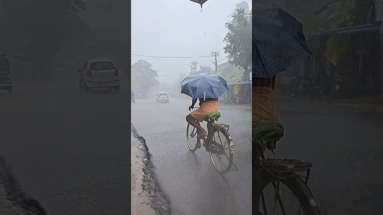 Kerala Village | Heavy Rain |  Indian Village Life #shortsfeed #shorts #rain #rainwalk #rurallife