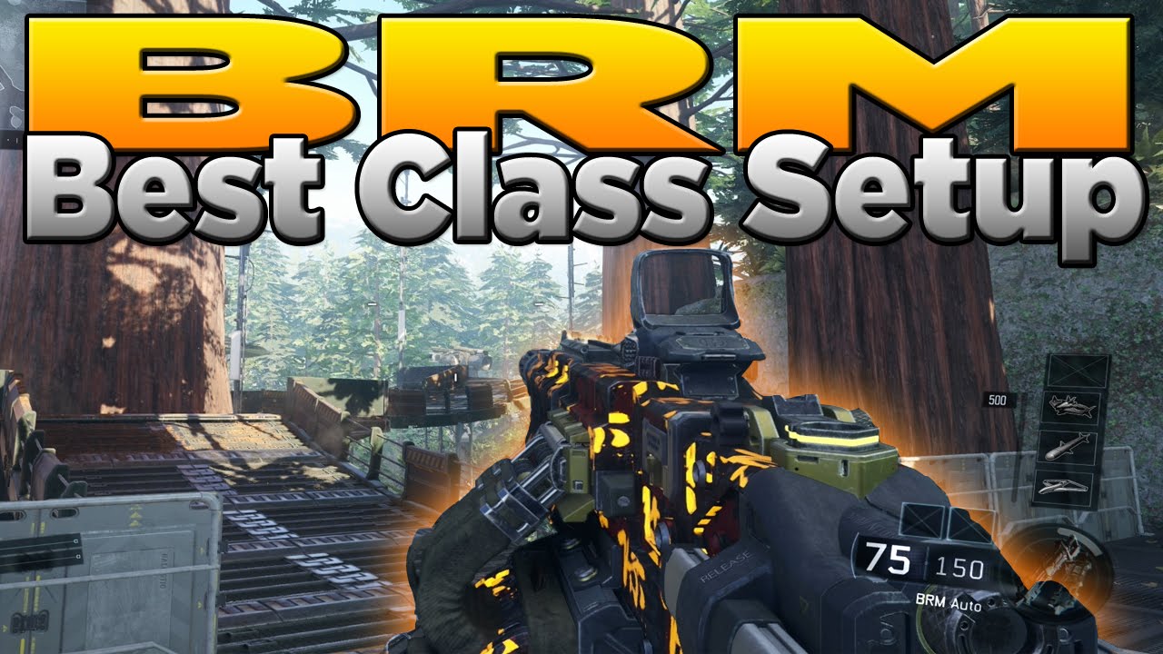 BRM Best Class Setup (Black Ops 3 LMG Heavy Weapon)