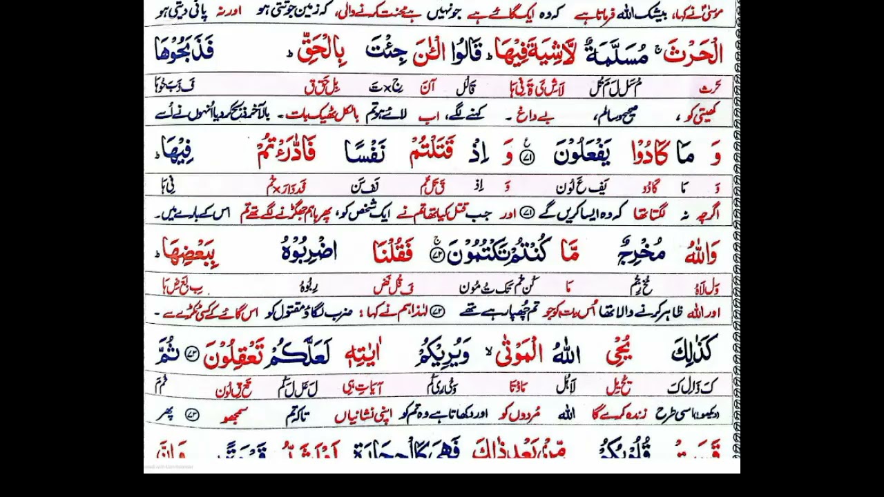 Learn Quran with us # Surah Al Baqarah # Ruku 8/9 # youtube # viral # trending # for you 