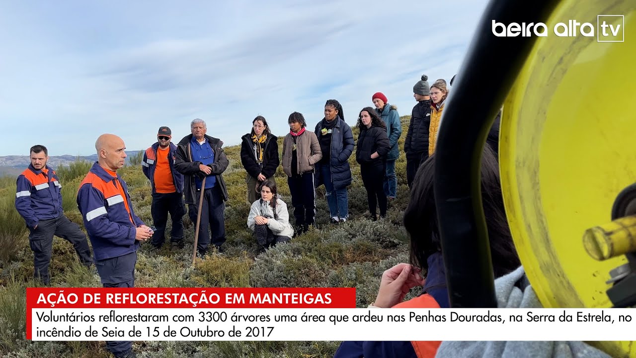 Ação de reflorestação em Manteigas envolveu voluntários de várias entidades e comunidade local