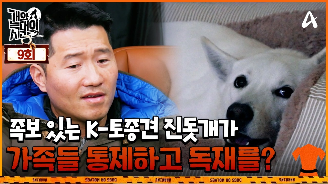 [예능] 개와 늑대의 시간 시즌2 9회_250311_가족끼리 왜이래: 리더로 인정받는 법