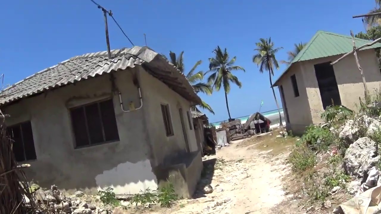 Michamvi Kae, Zanzibar Walkabout