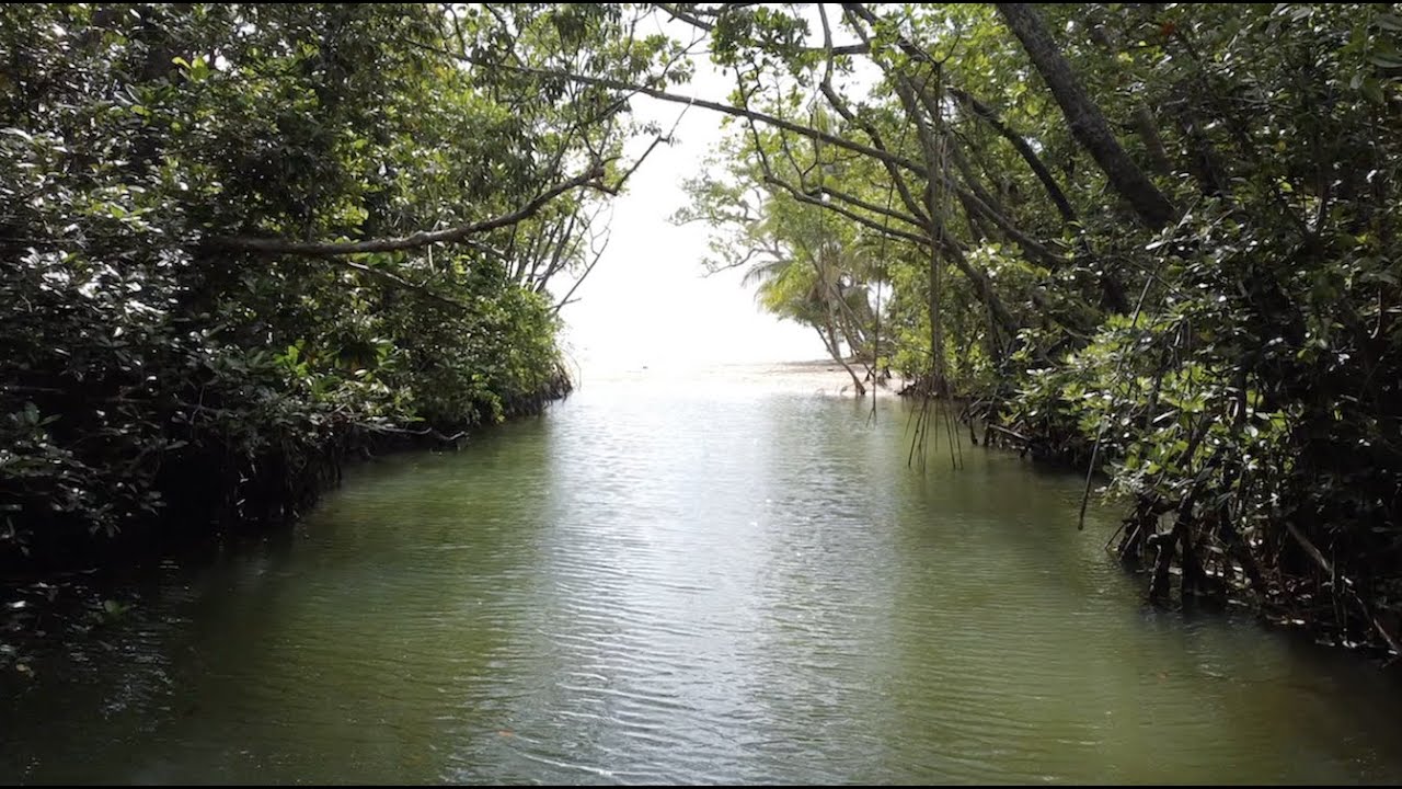 Cow Bay