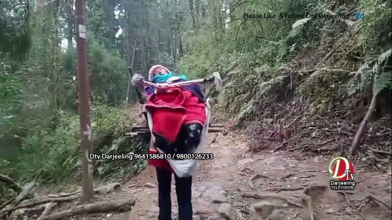 बिरामीलाई अस्पताल पुर्‍याउन एम्बुलेन्स होइन, डोको चाहिन्छ। 