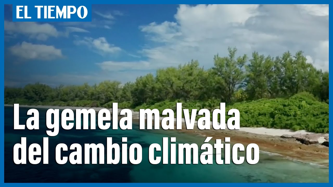 La acidificación de los océanos, un peligro inminente | El Tiempo