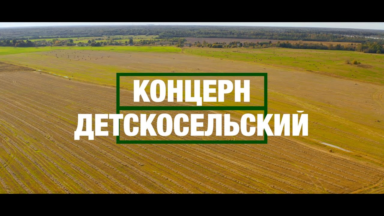 Концерн Детскосельский