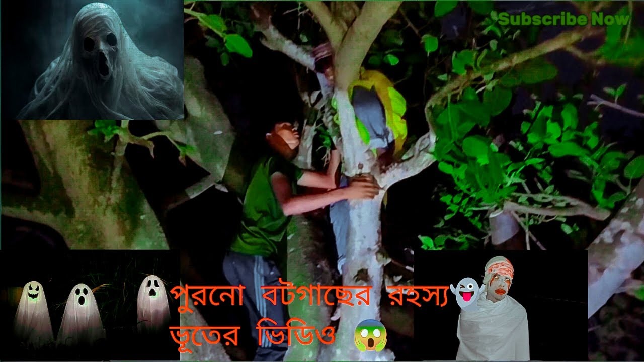 পুরনো বট গাছের ভয়ানক রহস্য ভূতের ভিডিও পার্ট ১ সবাই শেষ পর্যন্ত দেখবেন 😱 Dark Night Bd