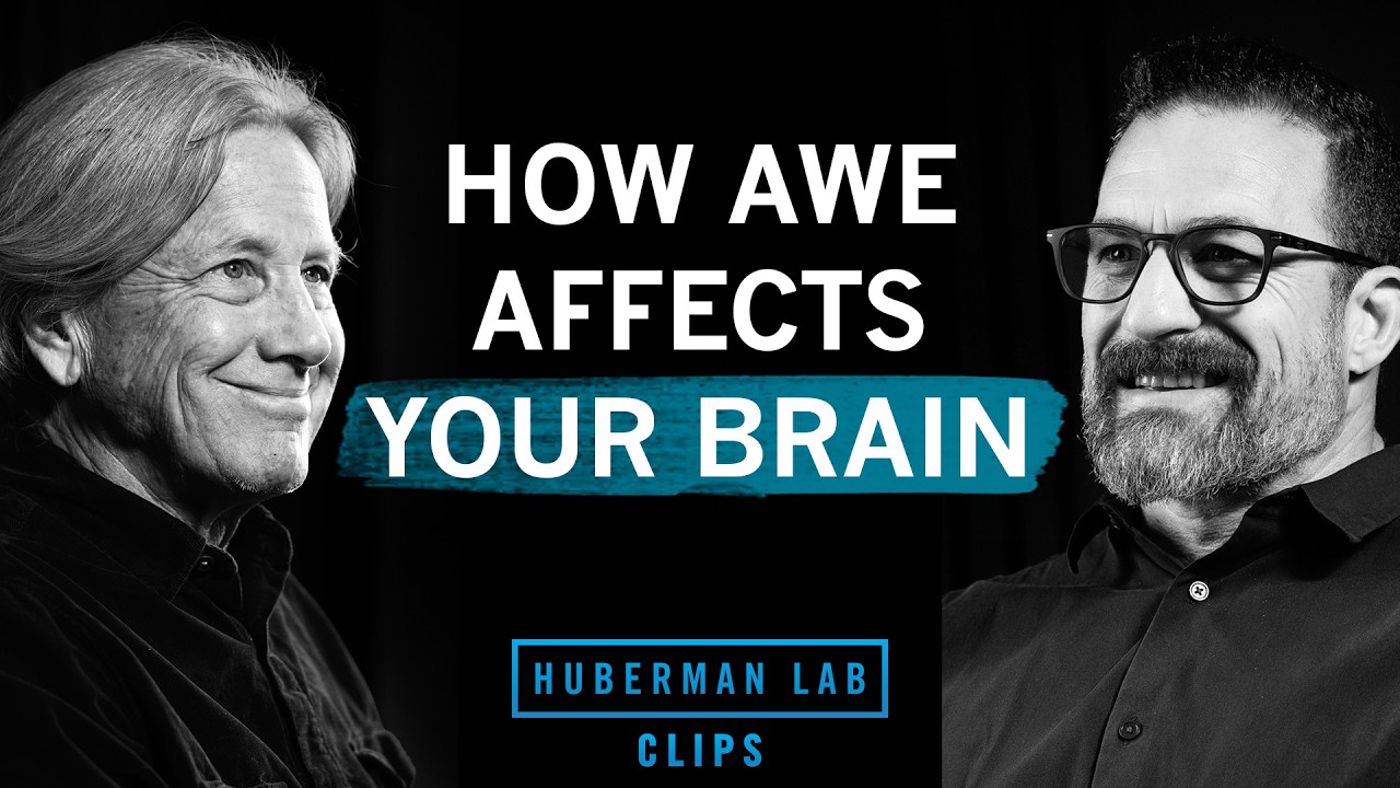 How Experiencing Awe Affects the Brain & Body | Dr. Dacher Keltner & Dr. Andrew Huberman