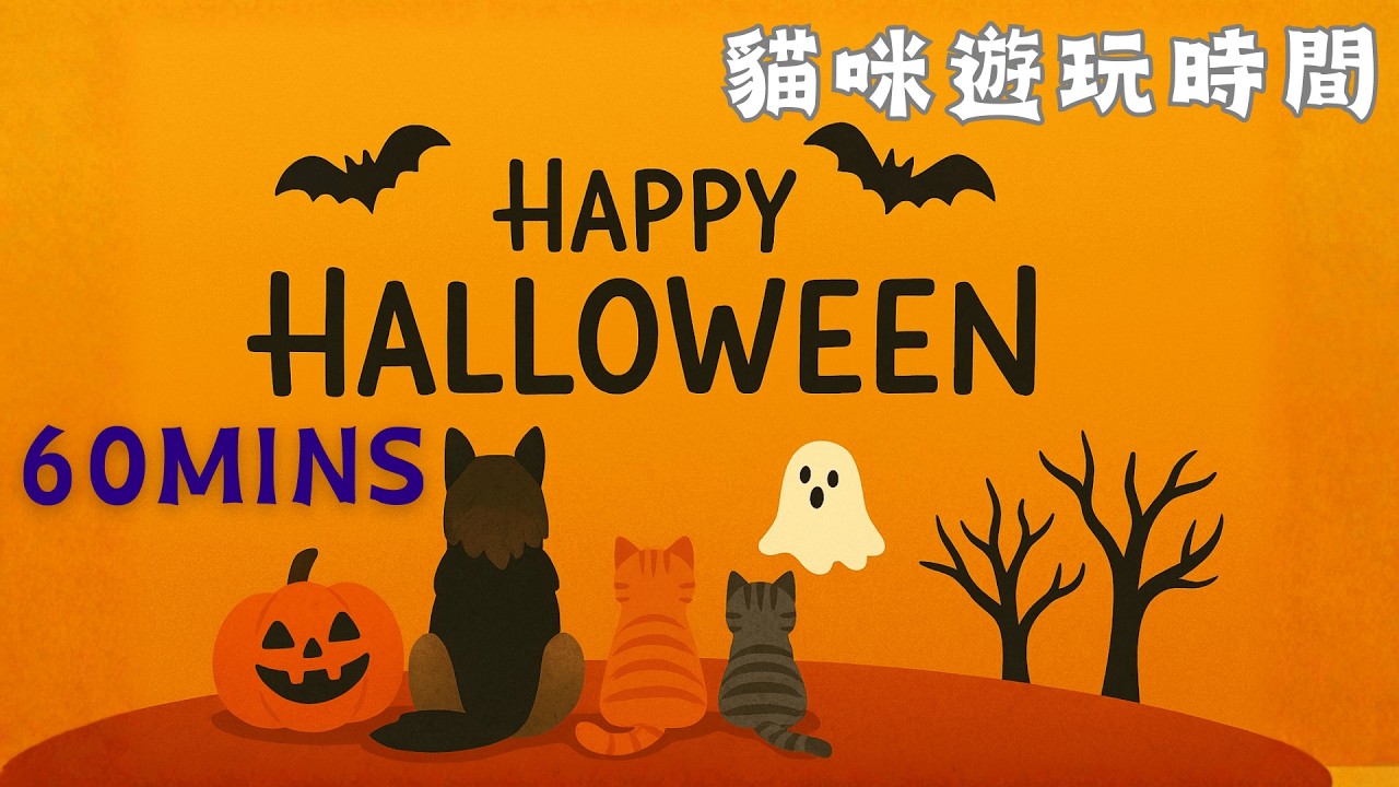 【貓咪遊戲】Happy Halloween｜#貓咪互動｜#貓貓遊戲｜#狩獵模擬｜#感官刺激｜#1小時｜HYDREAMER