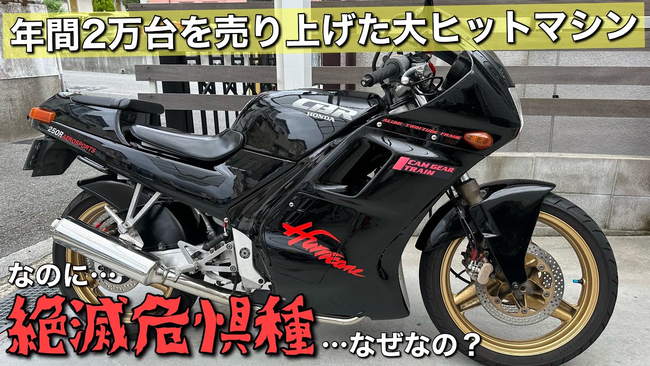 【CBR250R/MC17】なぜかレア車になった