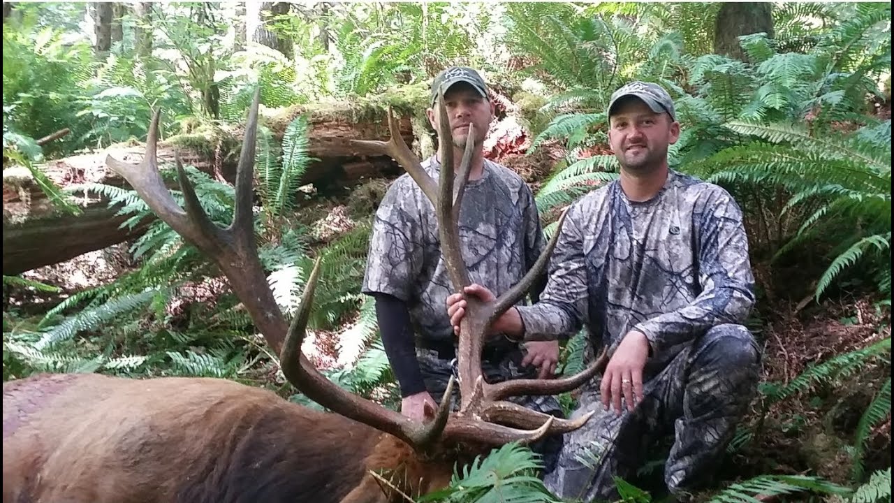 311 inch giant Roosevelt Bow Kill with ASP