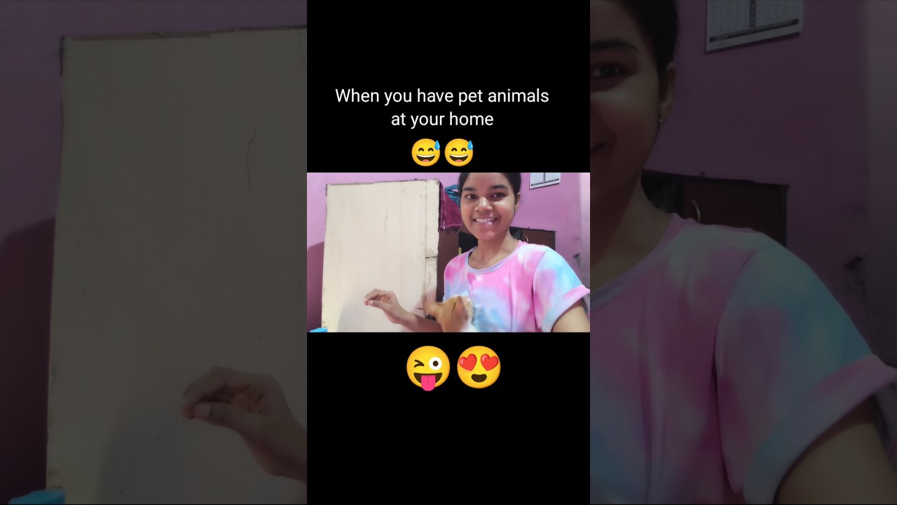 Pet animal in home 🥲😂 #shorts #petanimal #cat #english #shortsfeed