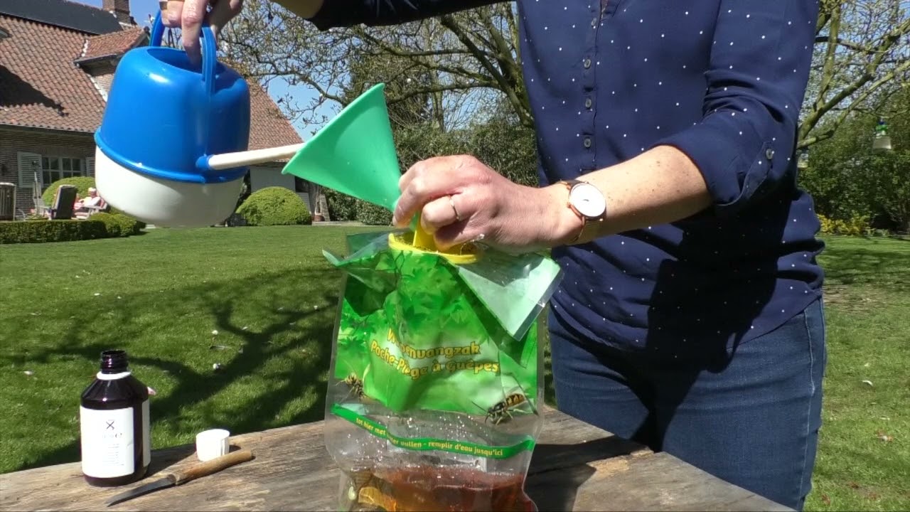 Vliegen en wespen bestrijden in je tuin.