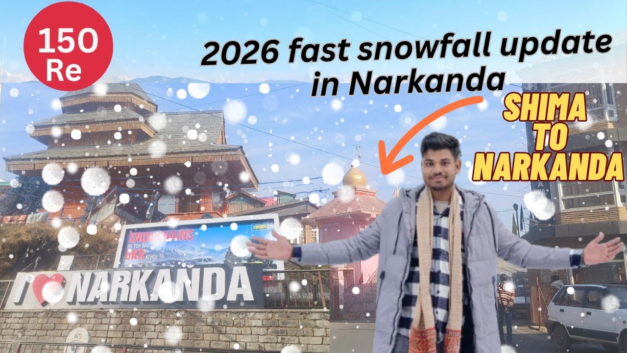 Shimla to Narkanda by Bus 🚌 | Narkanda 2026 fast snowfall update? Explore Narkanda Himachal Pradesh