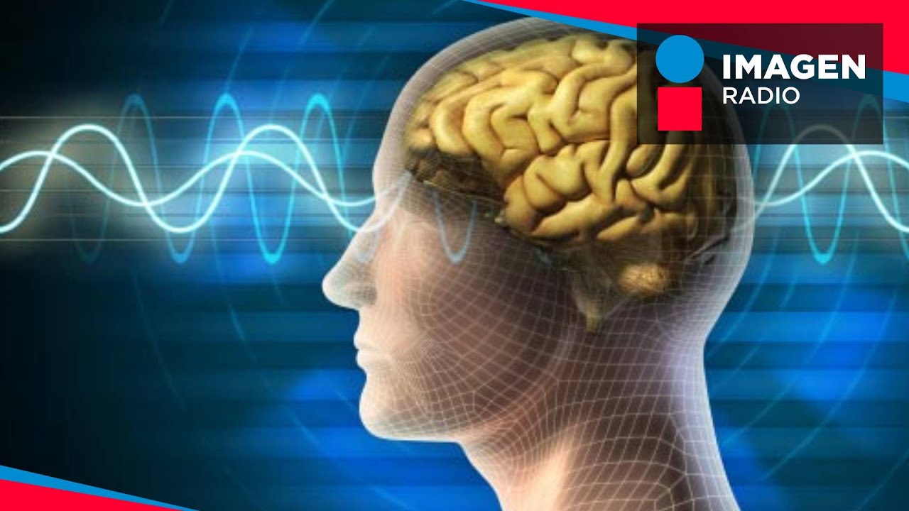 ¿Qué es la percepción?