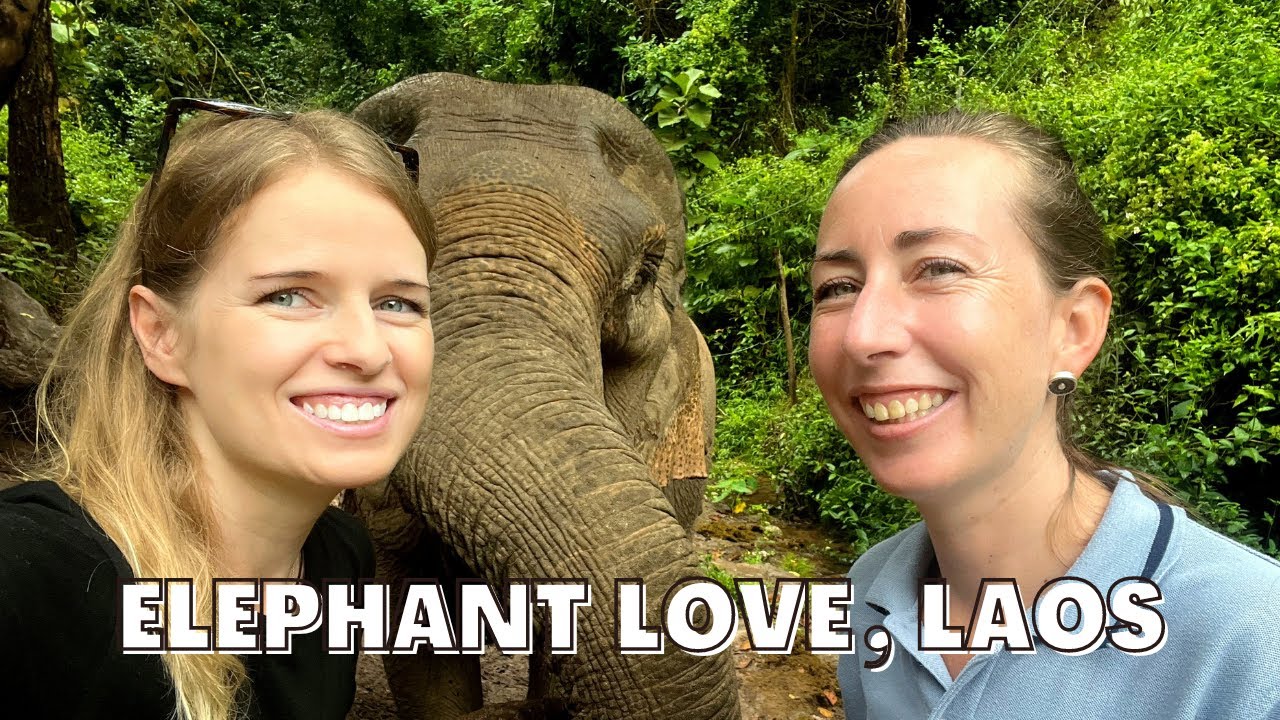 Słonie w Azji umierają&hellip; Ratujmy je! Elephant Love, Laos