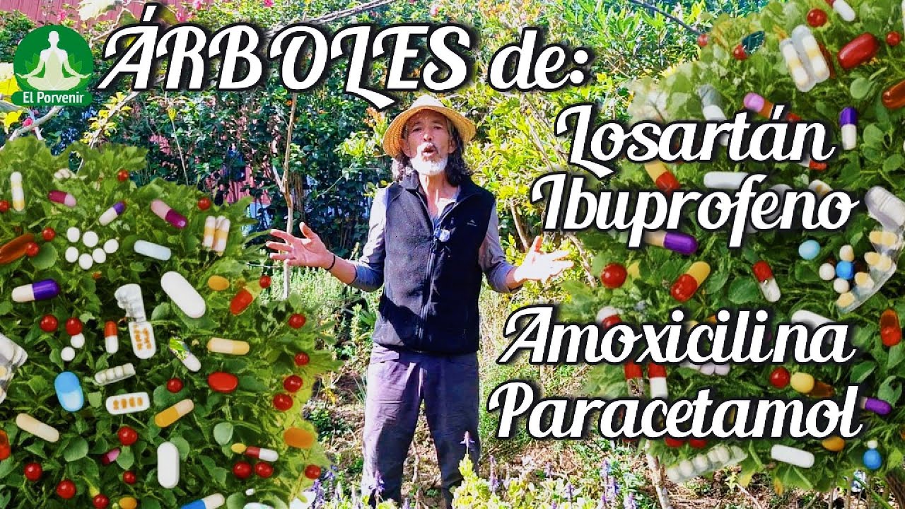 &iexcl;Tu Farmacia en Casa: Plantas que Reemplazan Medicamentos Comunes!