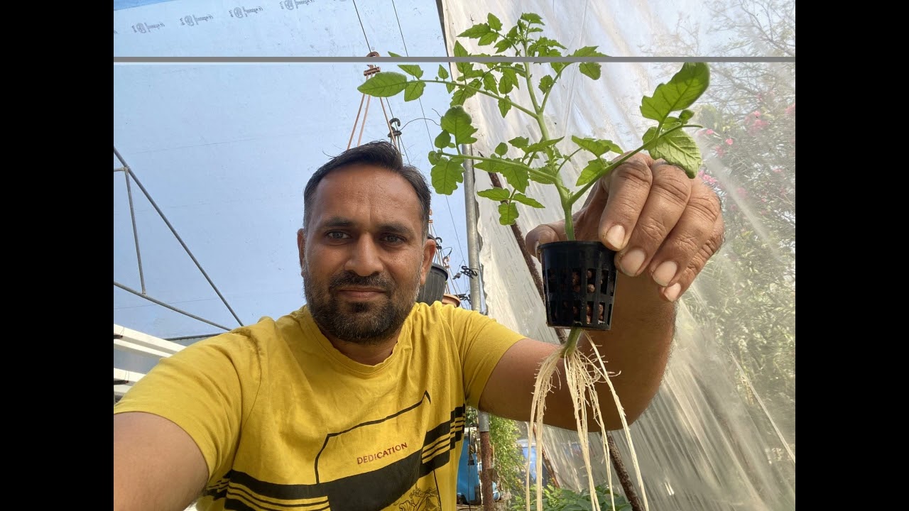 Past glimps of my Hydroponic Growing