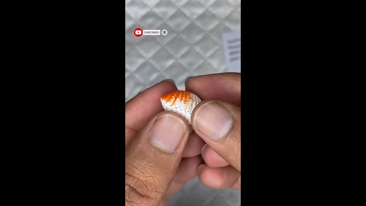 unboxing sweet snacks and toys
