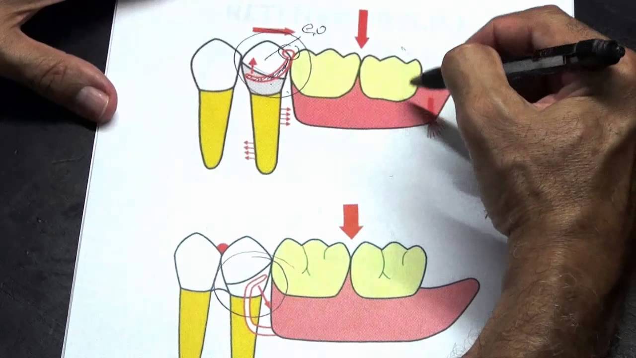 Clase I - Segunda Parte
