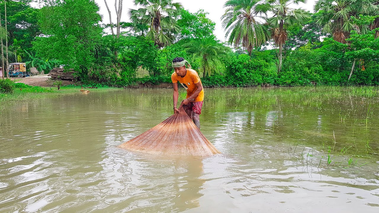 Net fishing video | Traditional boy cast net fishing in the village field | Fishing after rain