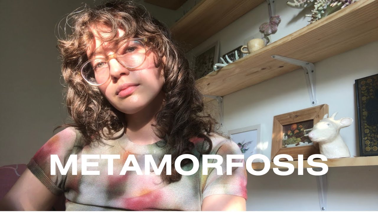 Cómo cambiar sin perdernos a nosotras mismas · Pensamiento metamórfico · Diario de artista #5