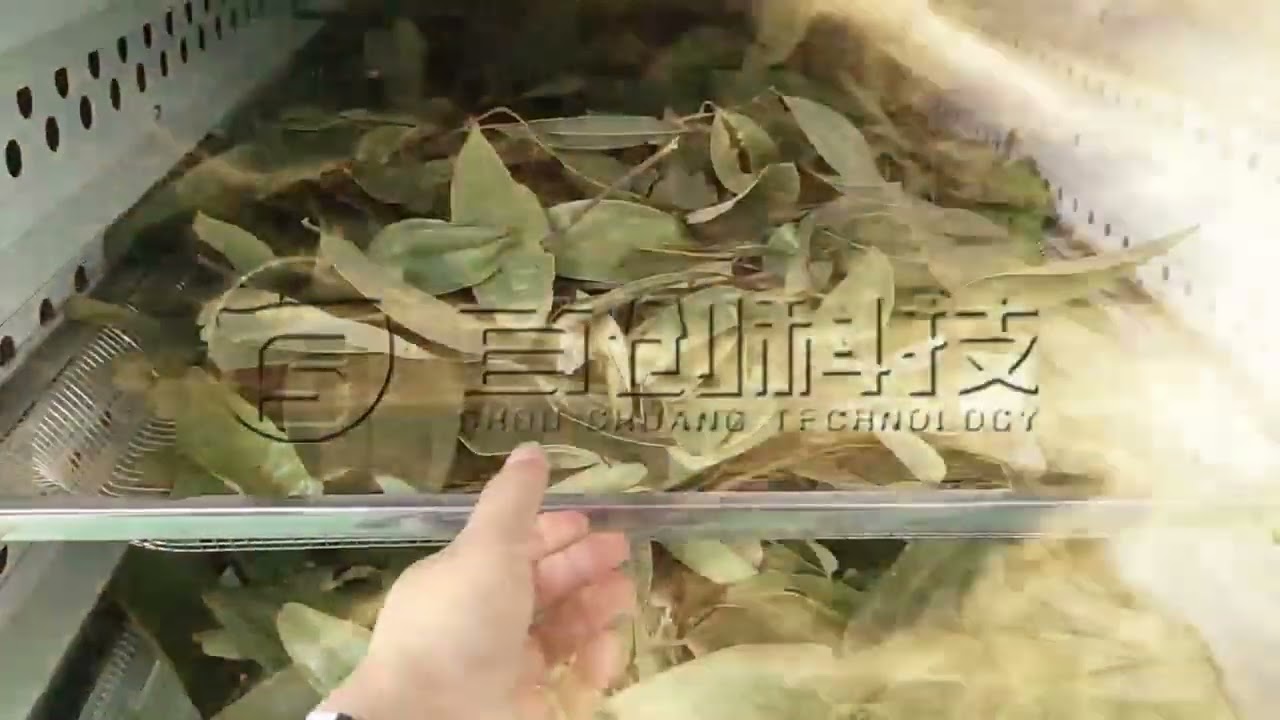Small Quantity Bay Leaves Test #dryingmachine #beltdryer #dehydrator