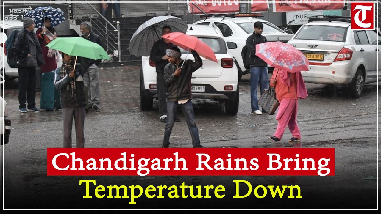 Rain in Chandigarh, vicinity brings down temperature