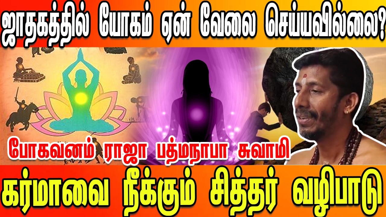ஜனனம் முதல் மரணம் |ஜாதகம்|கர்மா| கடவுள்| எது பெரிது? பரிகாரத்தில் ஏன் பயனில்லை - ராஜா பத்மநாப சுவாமி