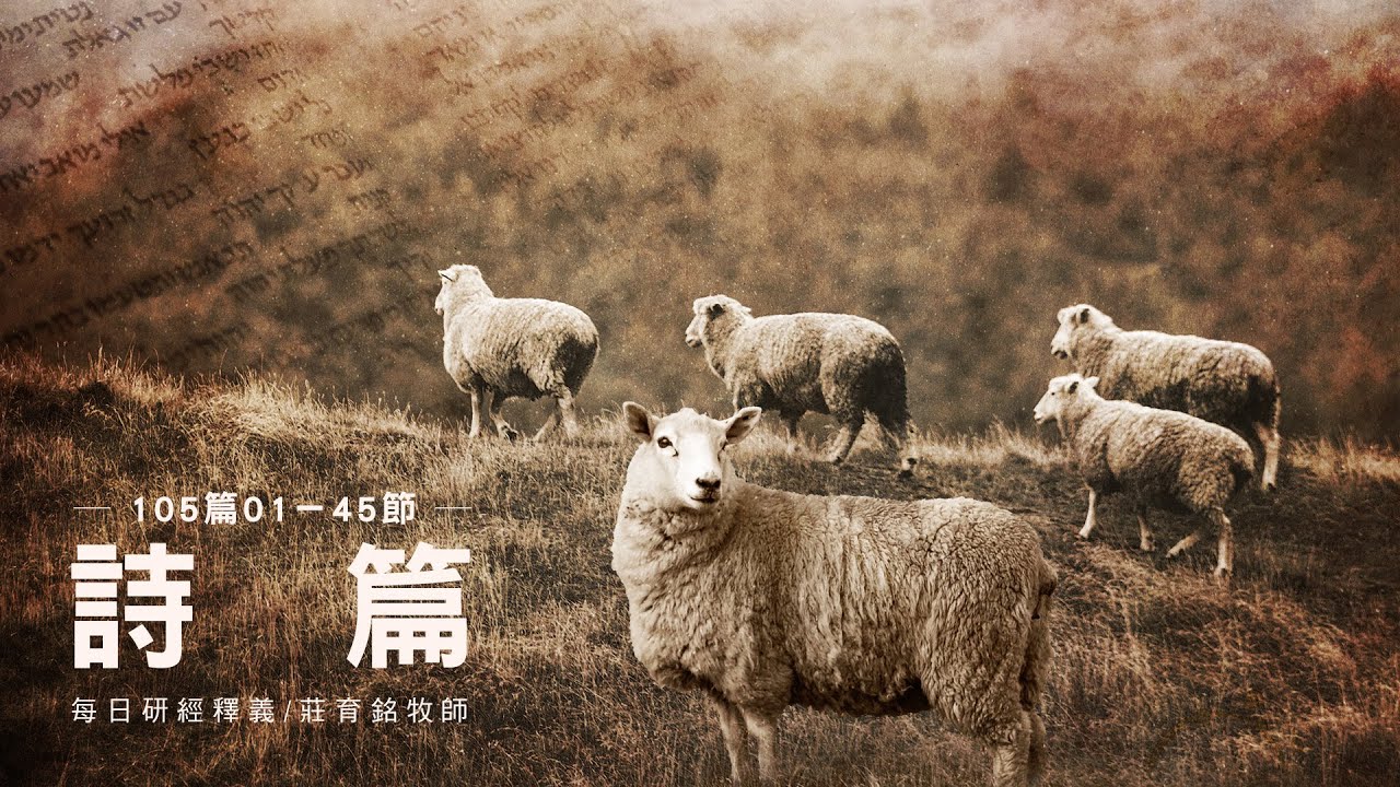 230110 詩篇 105篇1~45節 要時常尋求耶和華祂的能力祂的面