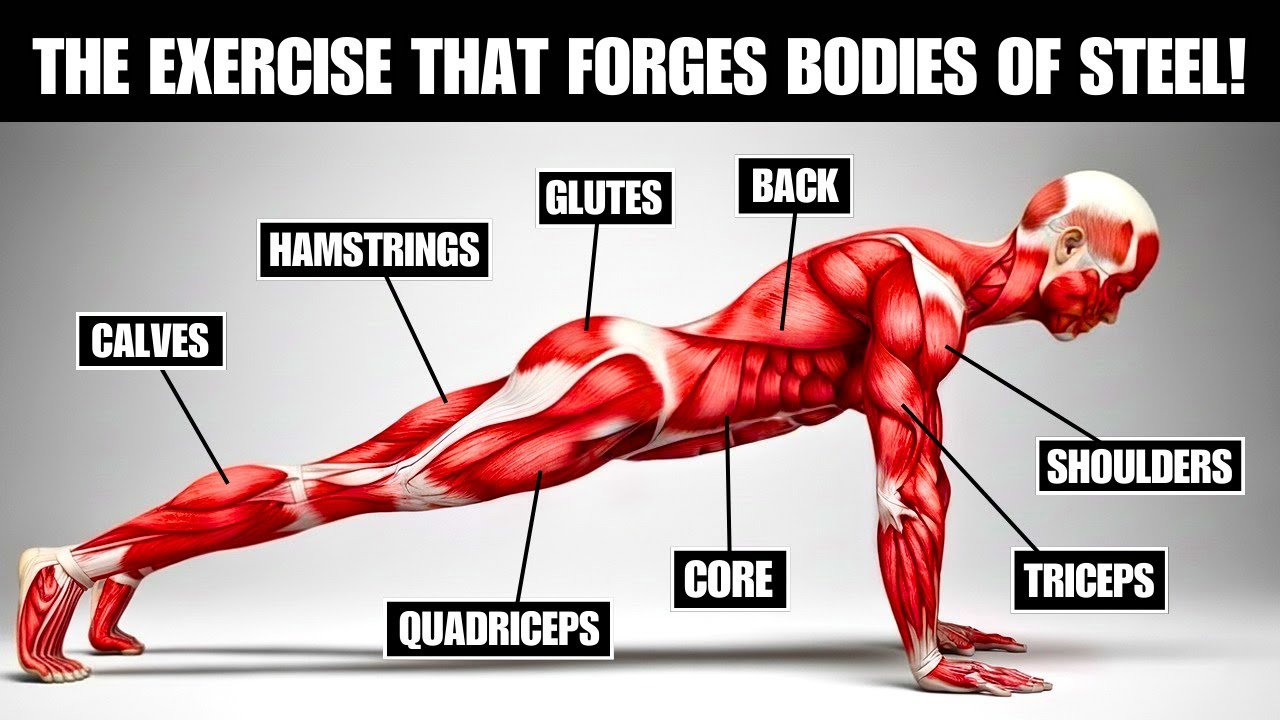 The Military Workout That Makes Your Body Explode Without Gym or Weights