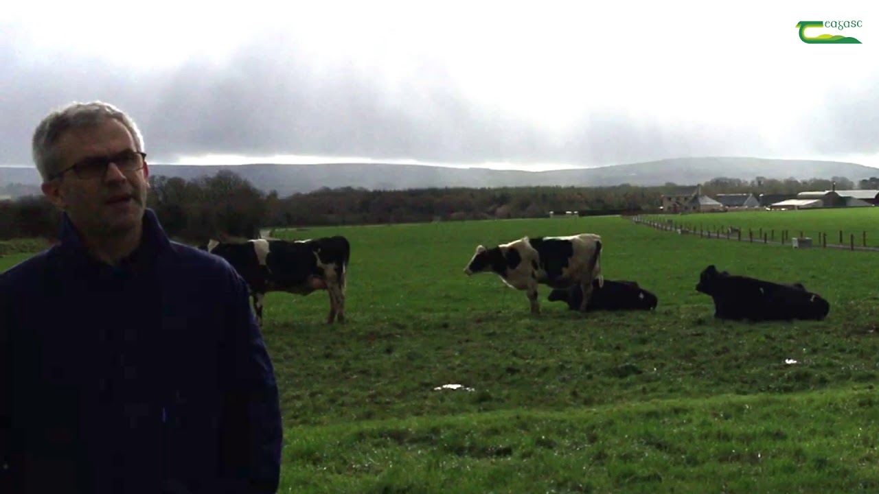 John O'Sullivan - Heavy Soils Monitor Farmer