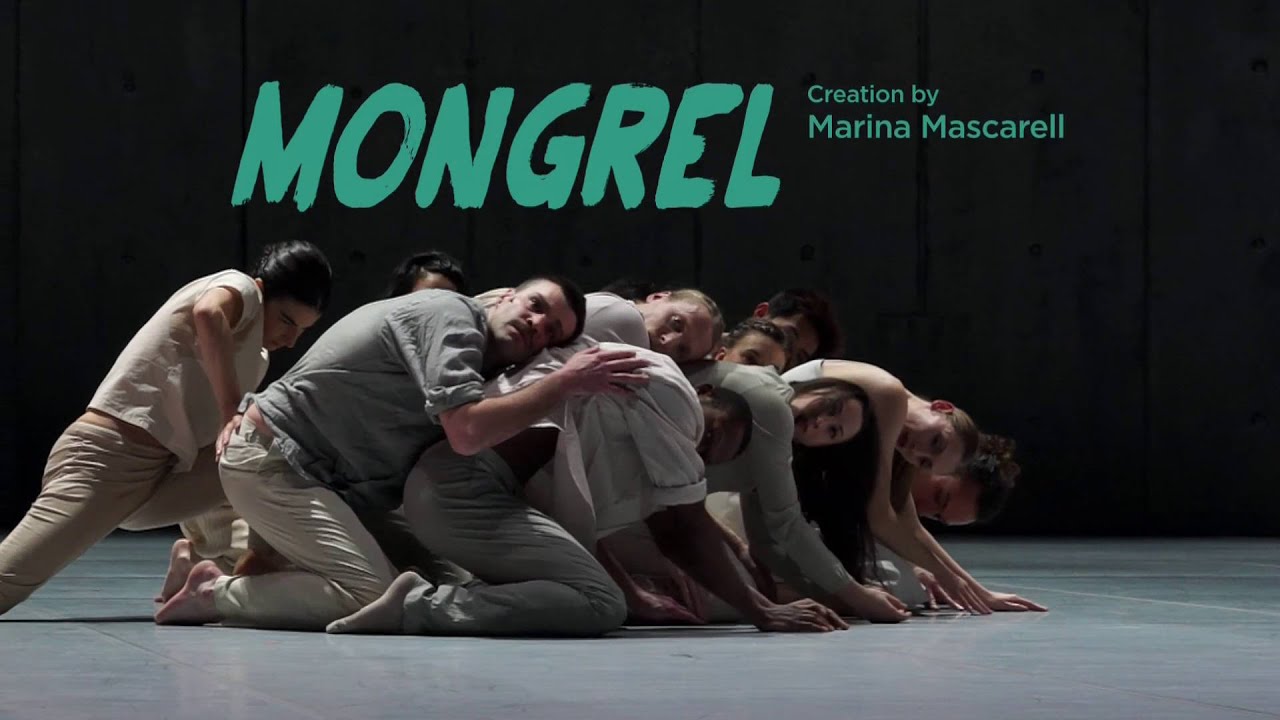 Mongrel, creation by Marina Mascarell