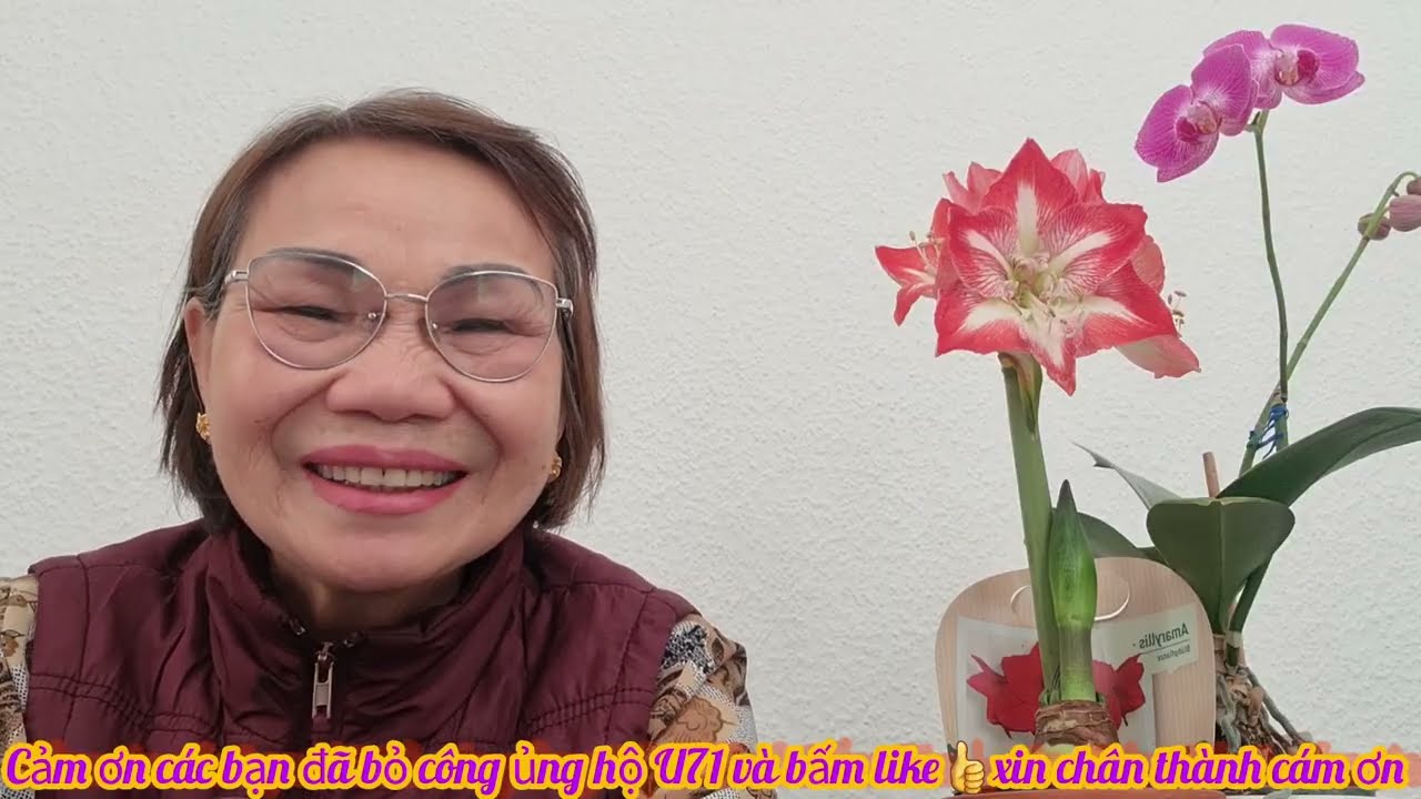 CÓ MỘT BÌNH LUẬN NÓI VGC Ở ĐỨC VẪN HƠN HĂN TI PHÚ PHẠM NHẬT VƯƠNG Ở VN, KHANH NGUYEN CUỘC SỐNG ĐỨC 
